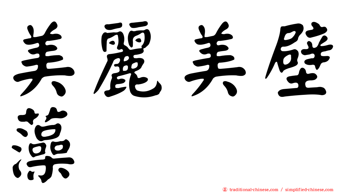 美麗美壁藻