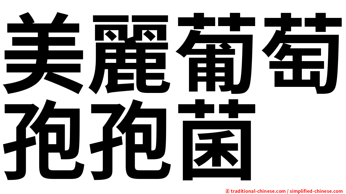 美麗葡萄孢孢菌