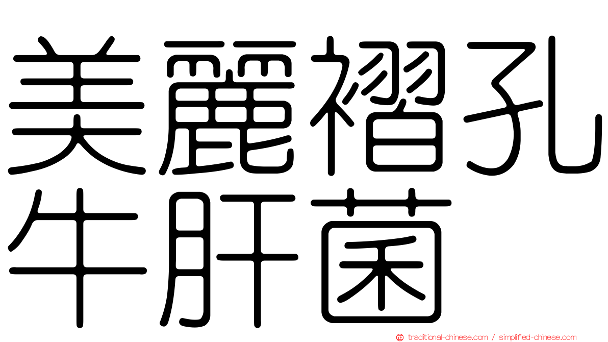 美麗褶孔牛肝菌