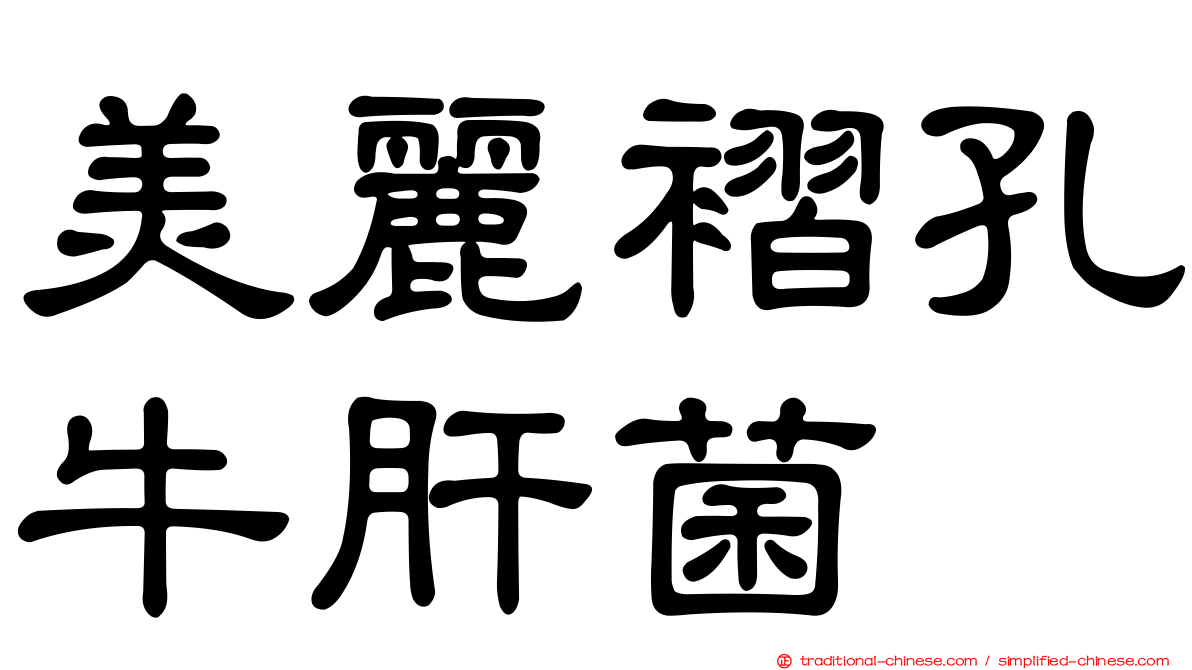 美麗褶孔牛肝菌