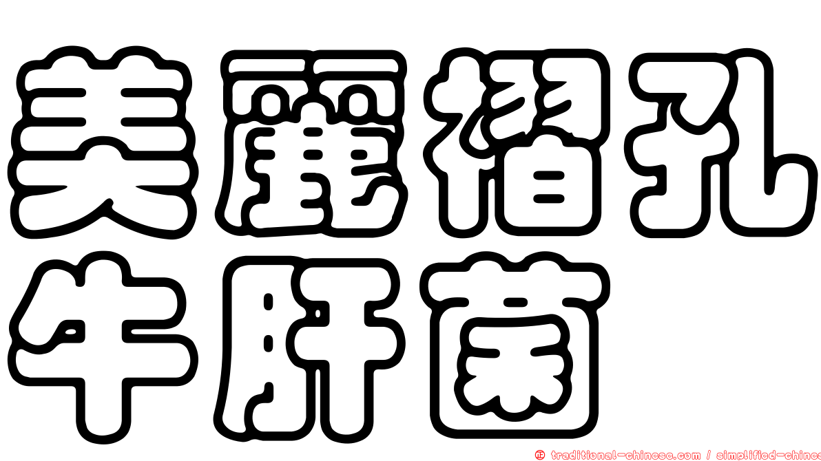 美麗褶孔牛肝菌