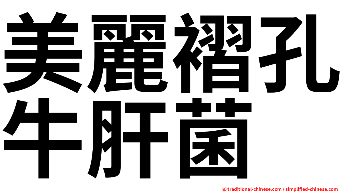 美麗褶孔牛肝菌