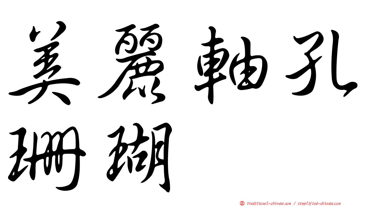 美麗軸孔珊瑚