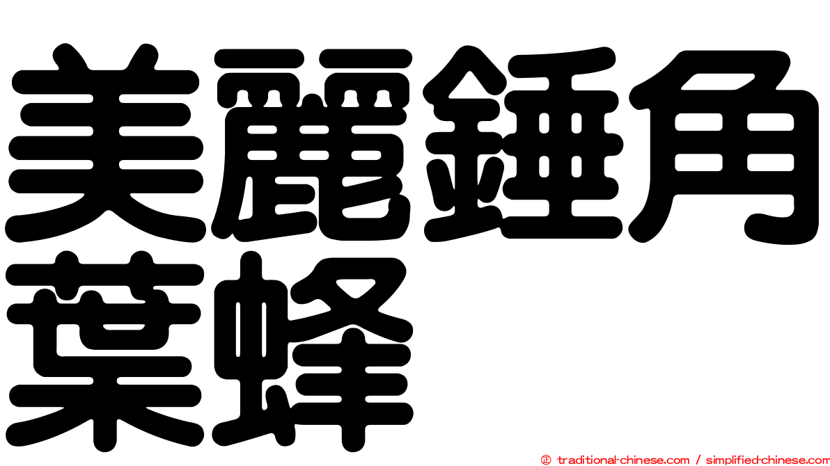 美麗錘角葉蜂
