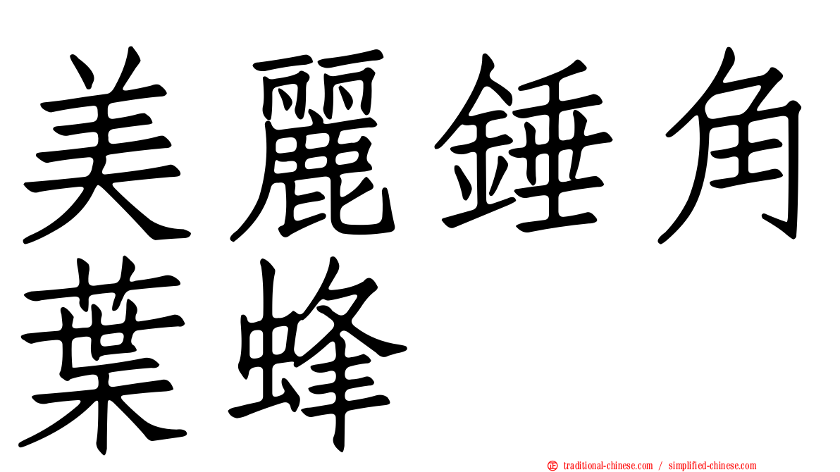 美麗錘角葉蜂