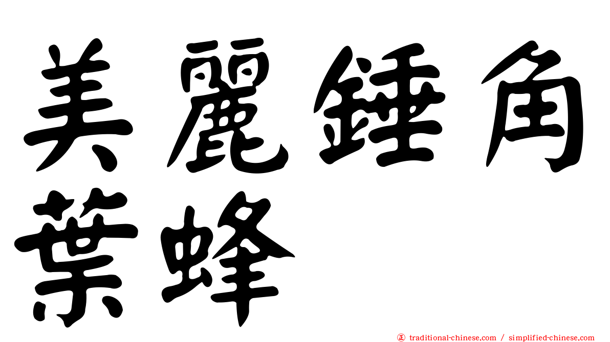 美麗錘角葉蜂
