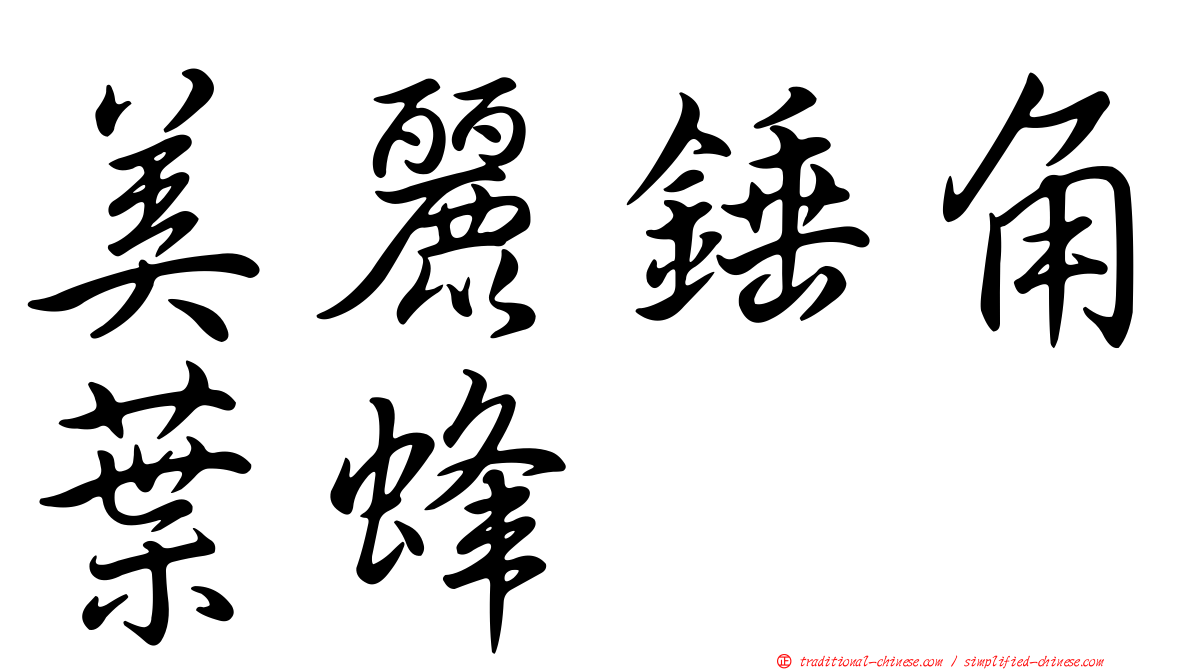 美麗錘角葉蜂