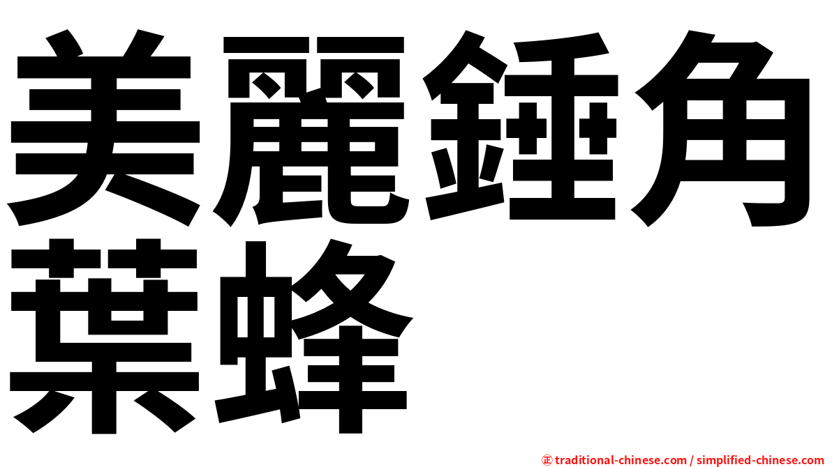 美麗錘角葉蜂