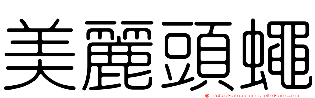 美麗頭蠅