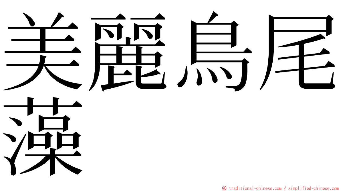 美麗鳥尾藻 ming font