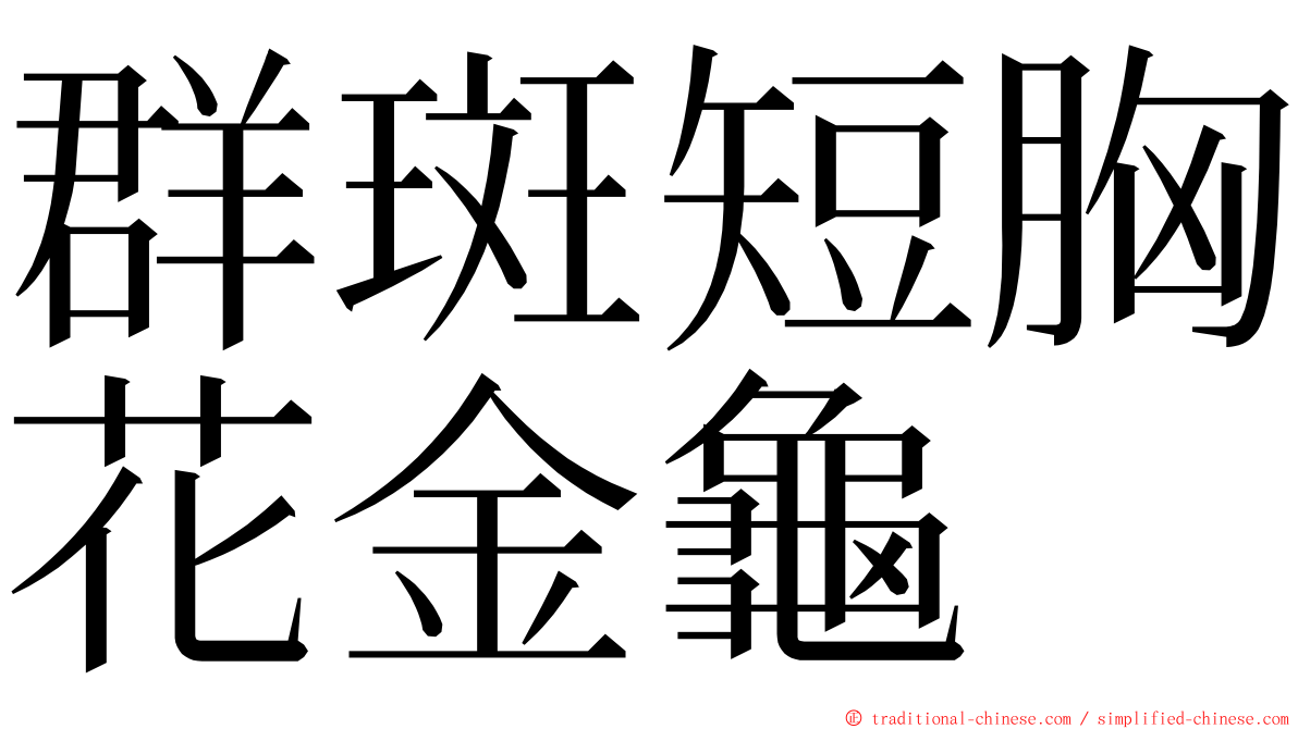 群斑短胸花金龜 ming font