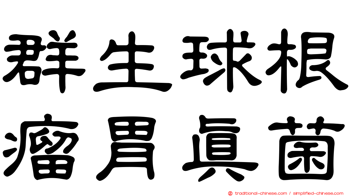 群生球根瘤胃真菌