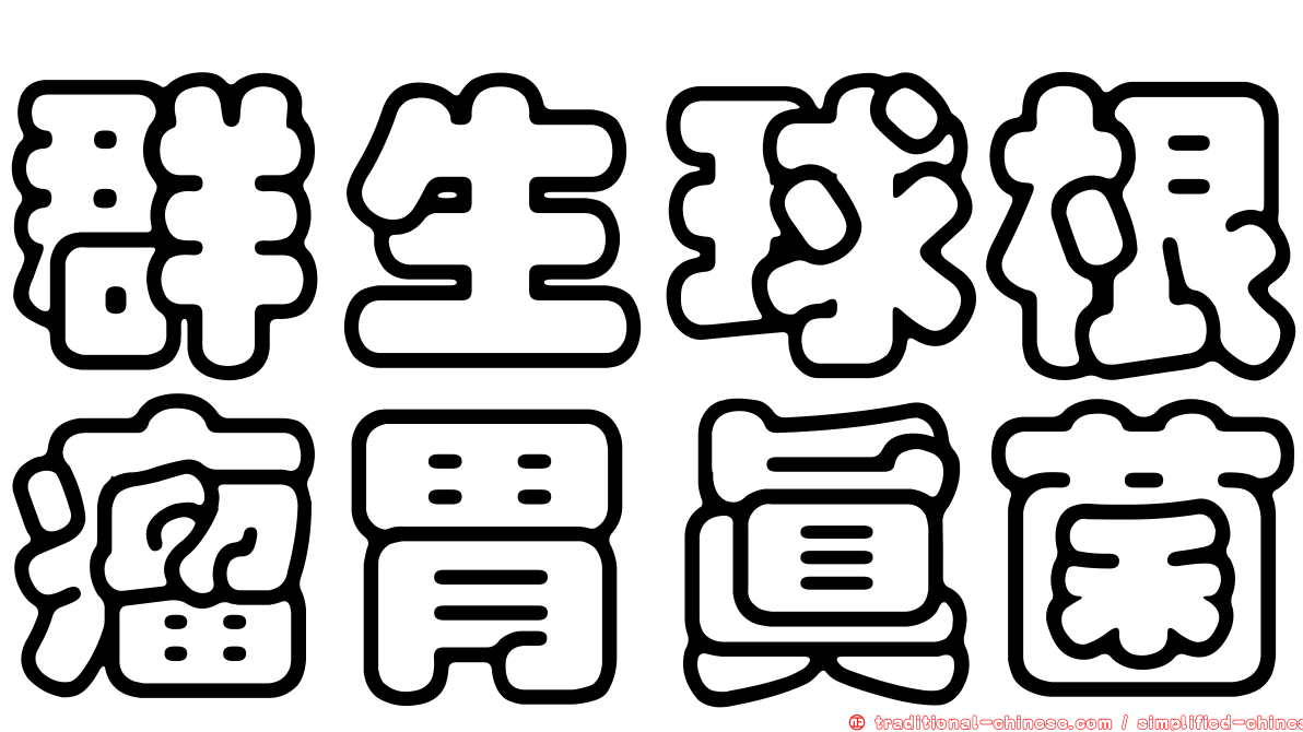 群生球根瘤胃真菌