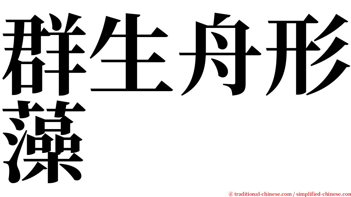 群生舟形藻 serif font