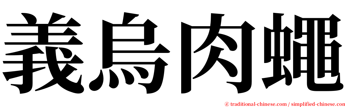 義烏肉蠅 serif font