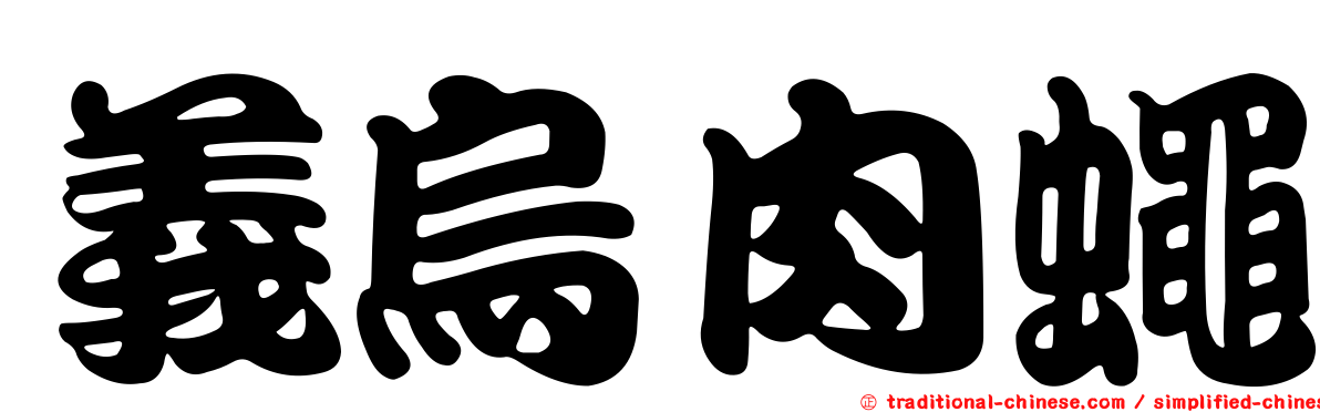 義烏肉蠅