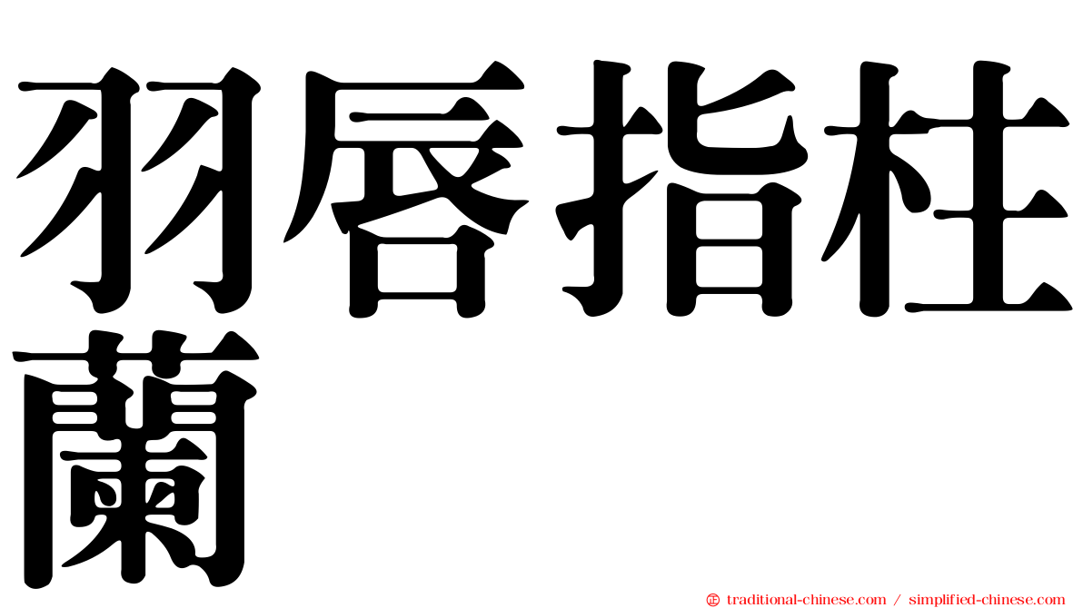 羽唇指柱蘭