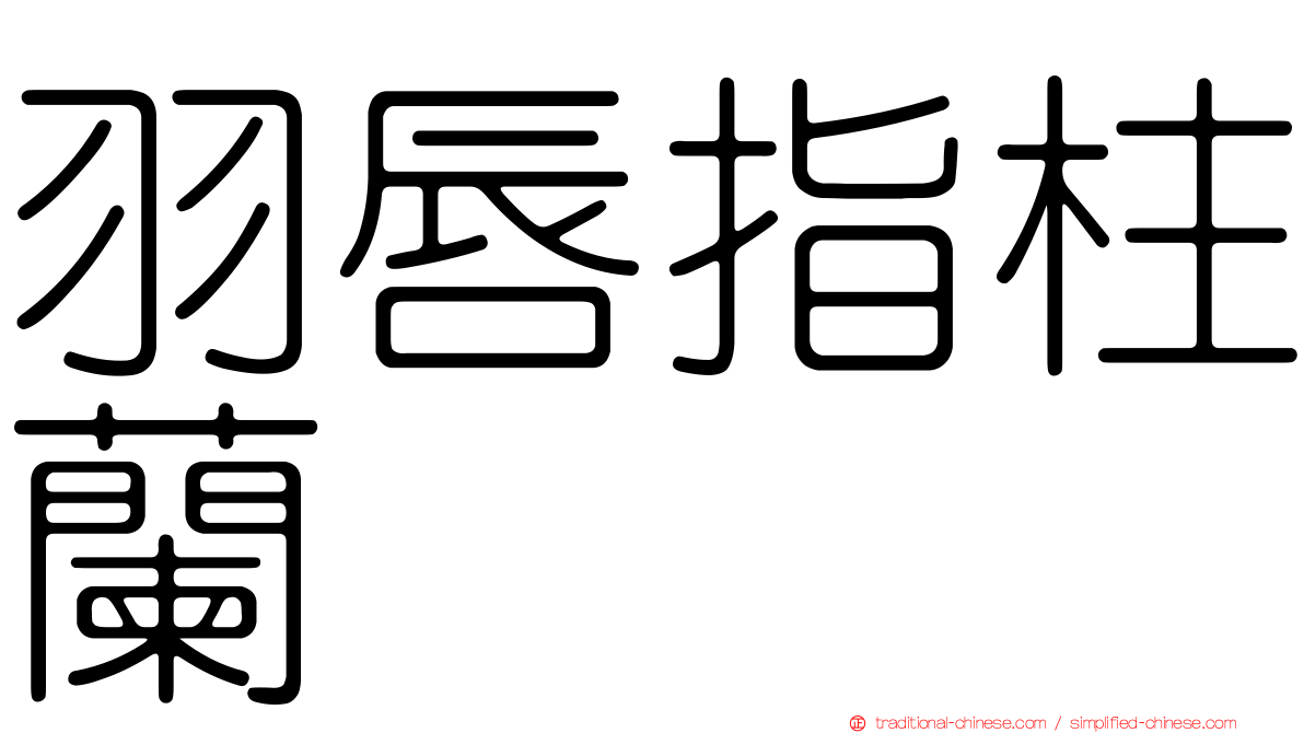羽唇指柱蘭
