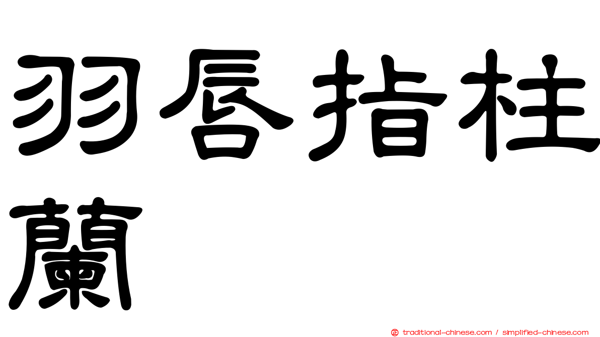 羽唇指柱蘭