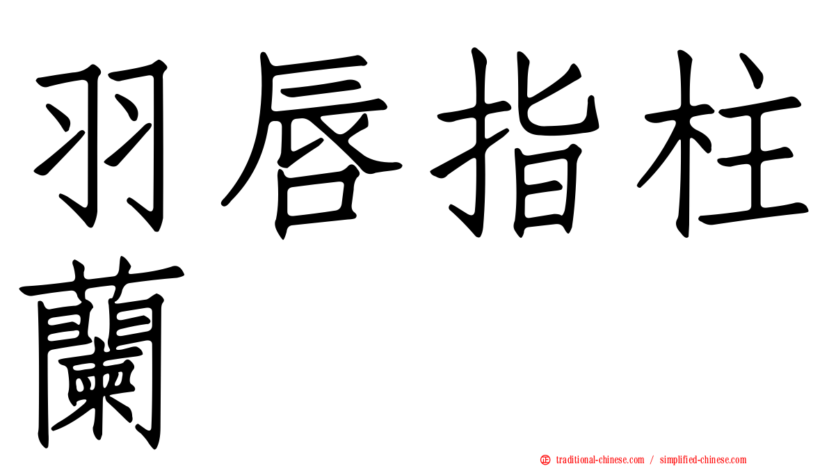 羽唇指柱蘭