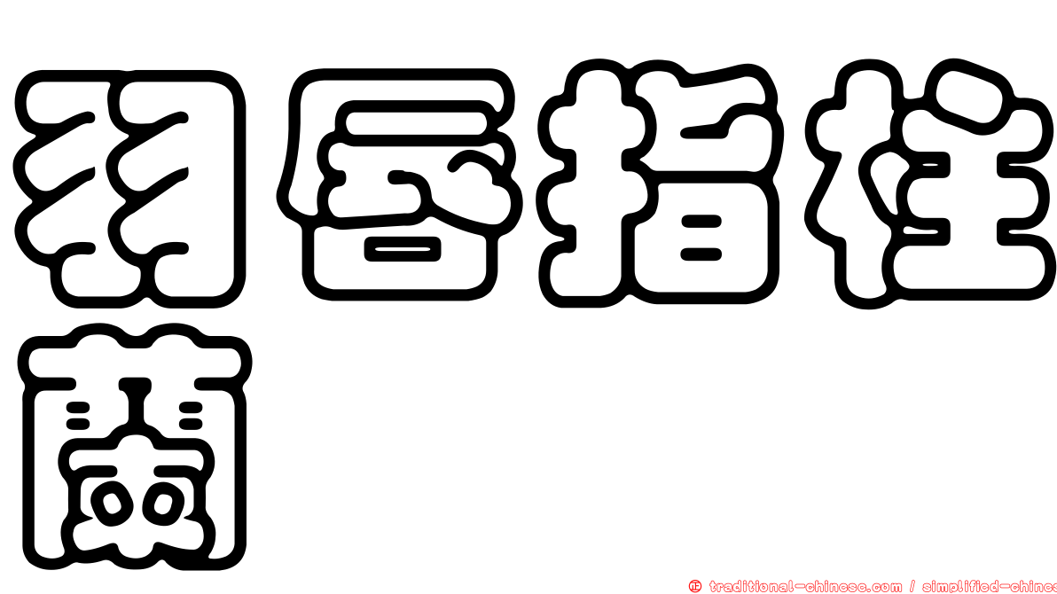羽唇指柱蘭