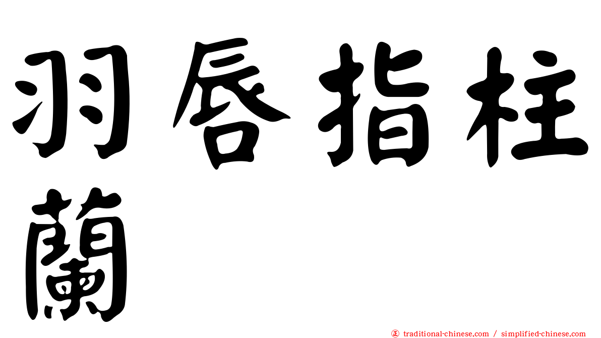 羽唇指柱蘭