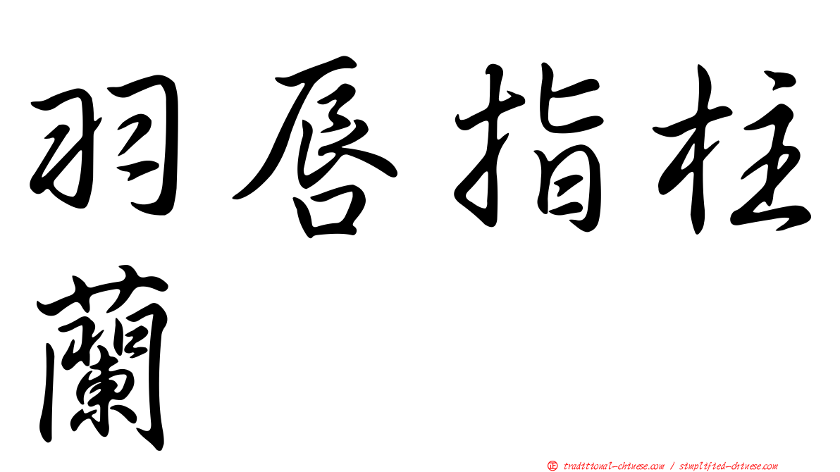 羽唇指柱蘭