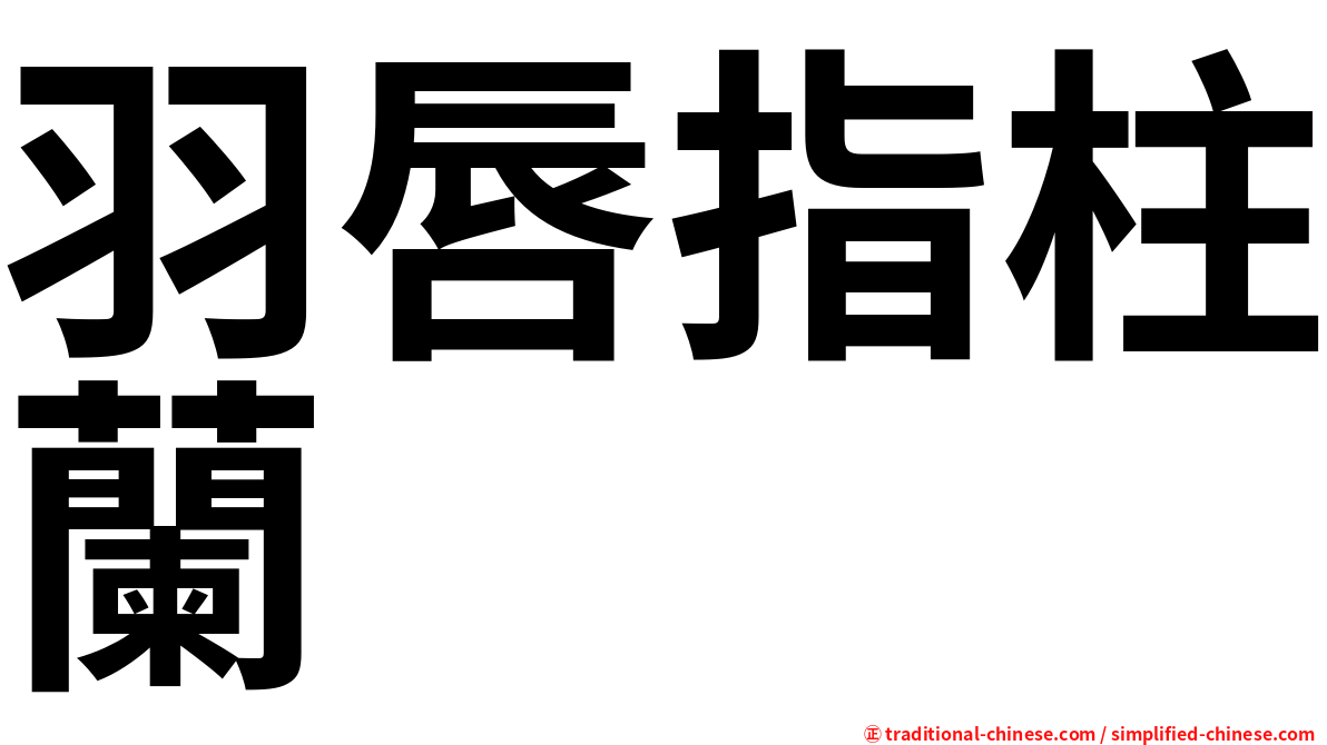 羽唇指柱蘭