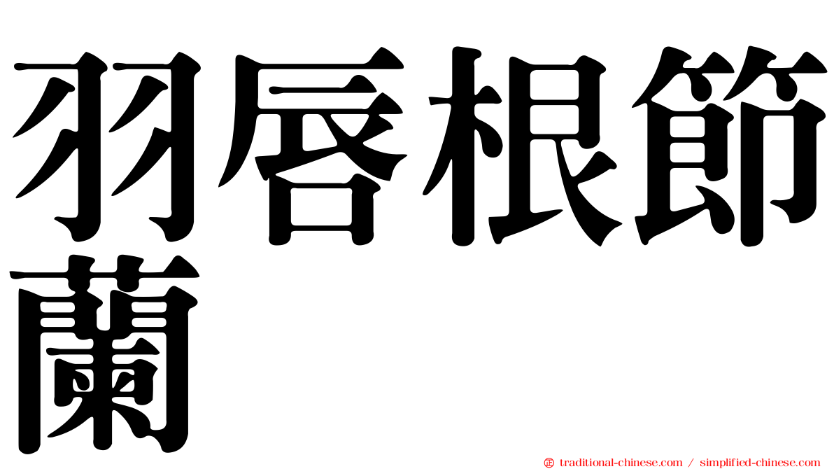 羽唇根節蘭