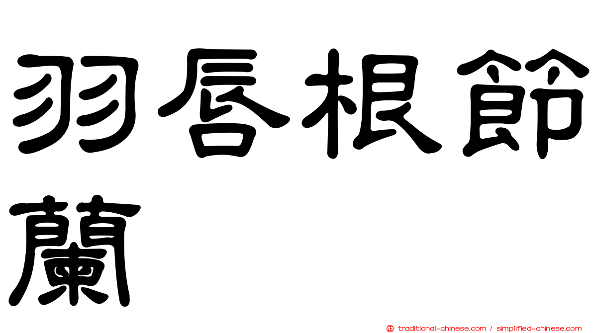 羽唇根節蘭