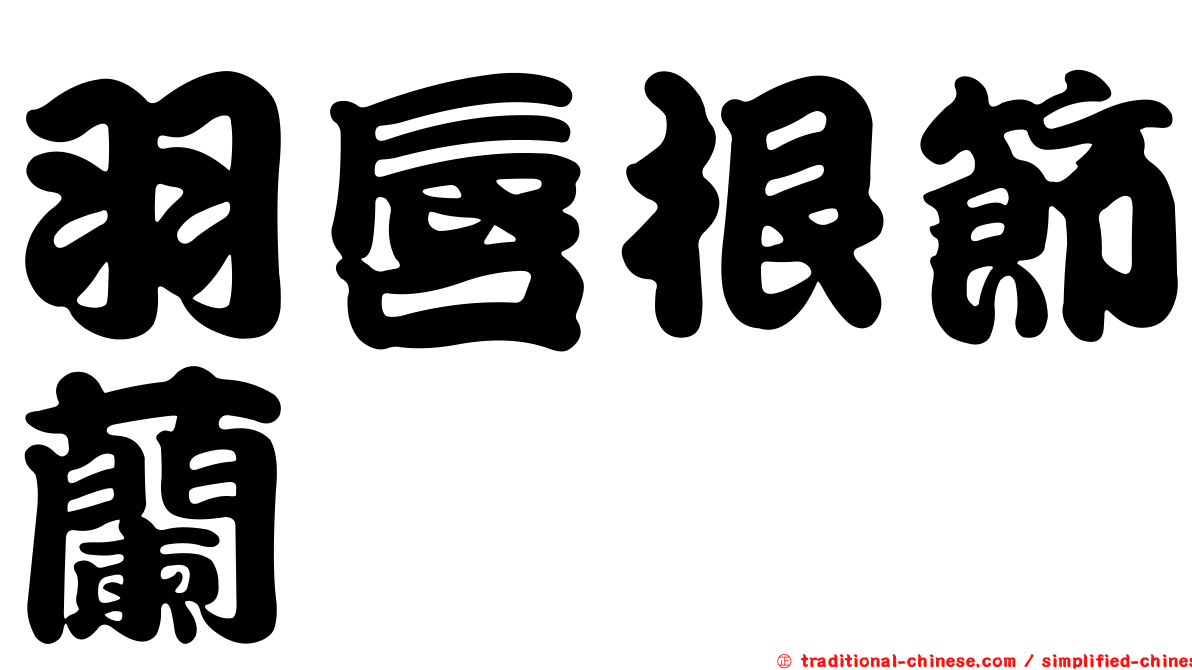 羽唇根節蘭