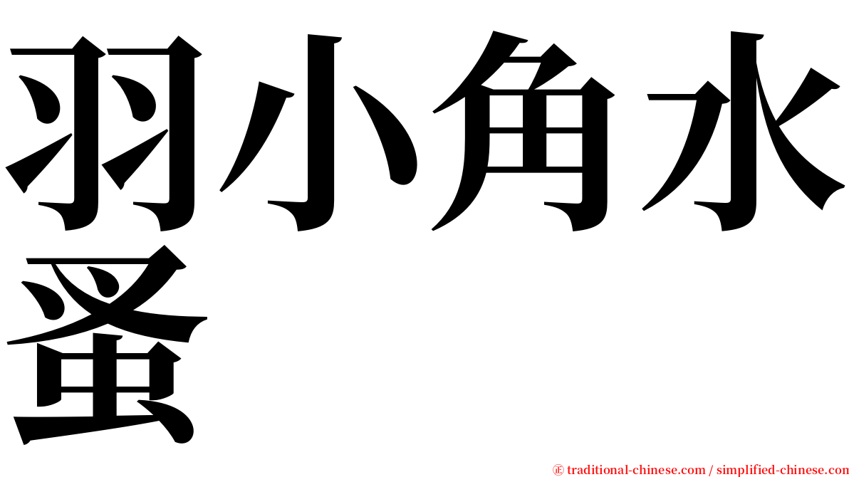 羽小角水蚤 serif font