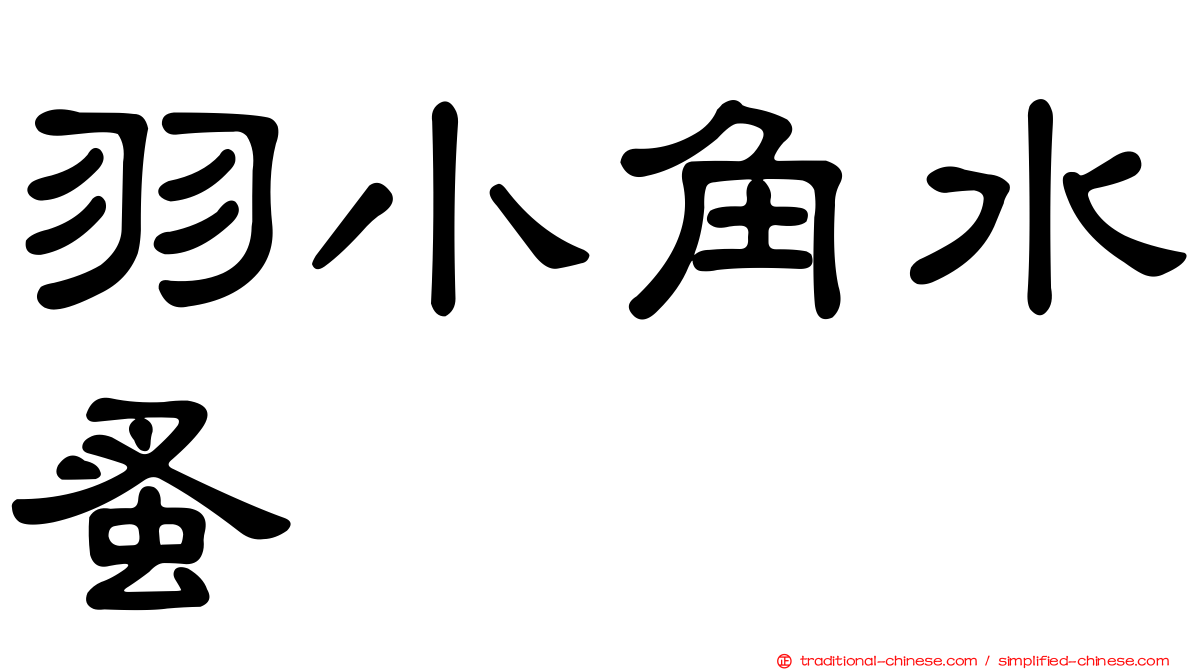 羽小角水蚤