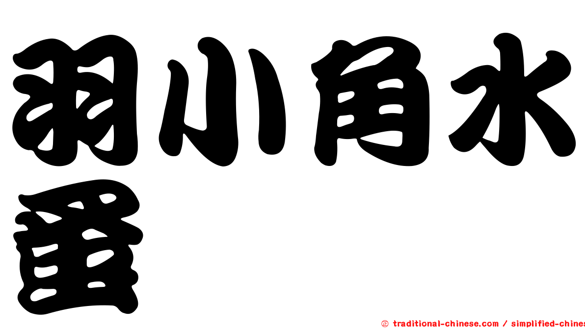 羽小角水蚤