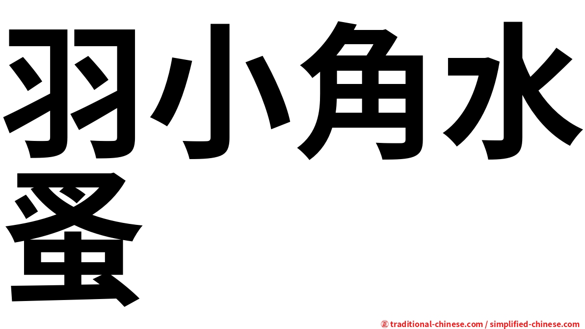 羽小角水蚤
