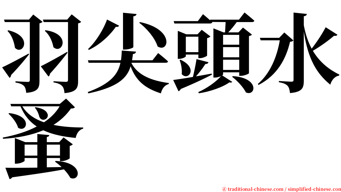 羽尖頭水蚤 serif font
