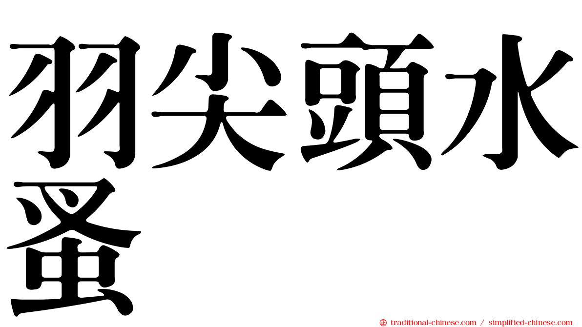 羽尖頭水蚤