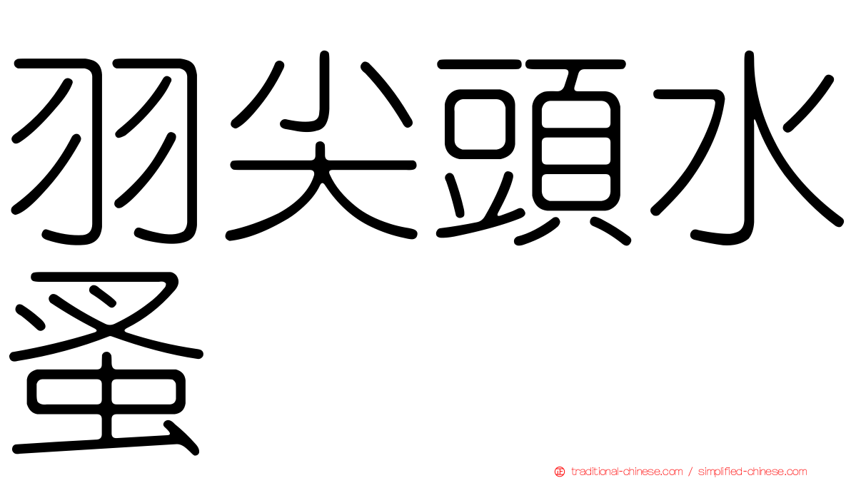羽尖頭水蚤