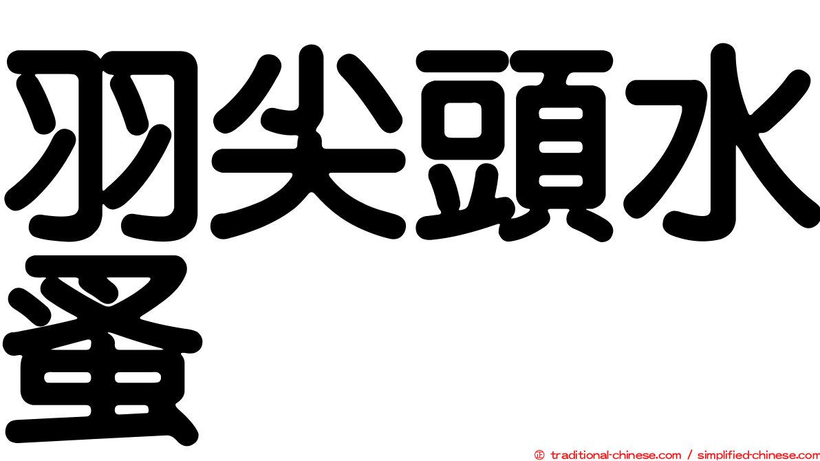 羽尖頭水蚤