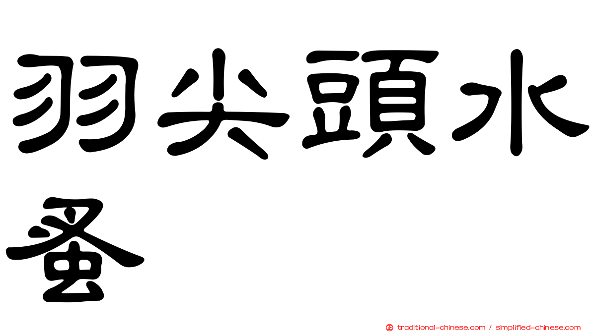 羽尖頭水蚤