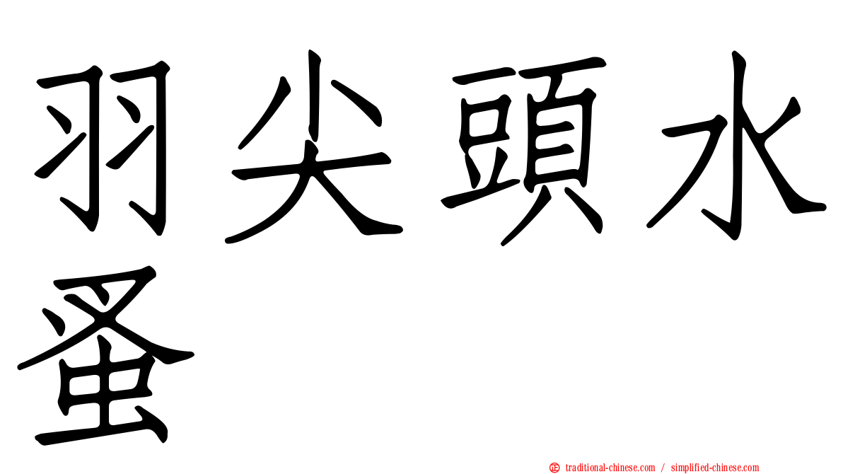 羽尖頭水蚤
