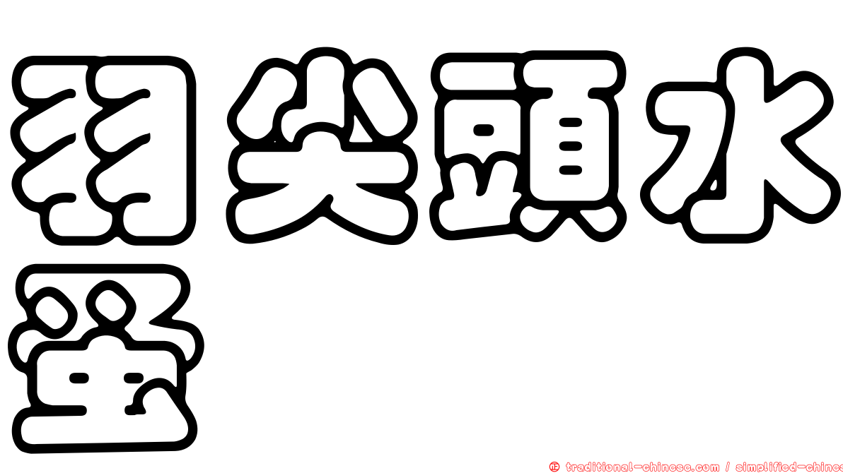羽尖頭水蚤