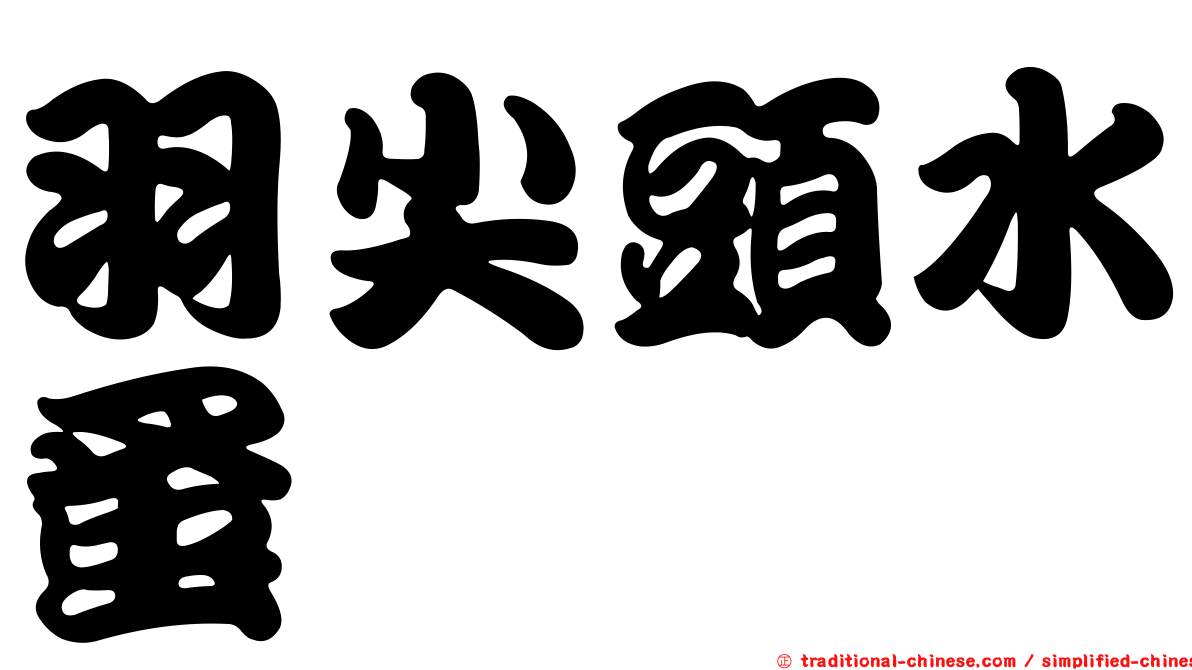羽尖頭水蚤