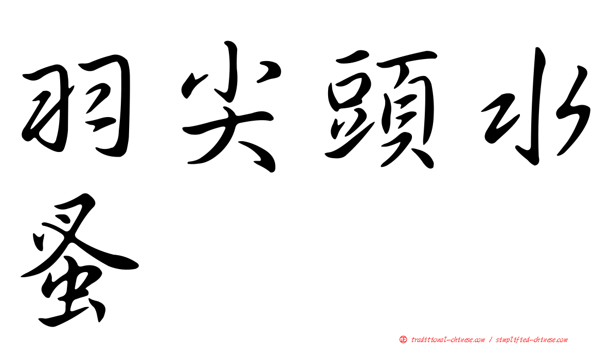 羽尖頭水蚤