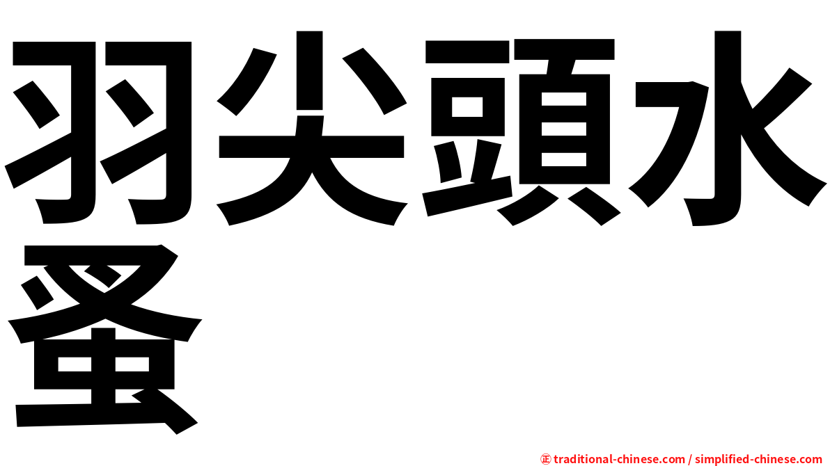 羽尖頭水蚤