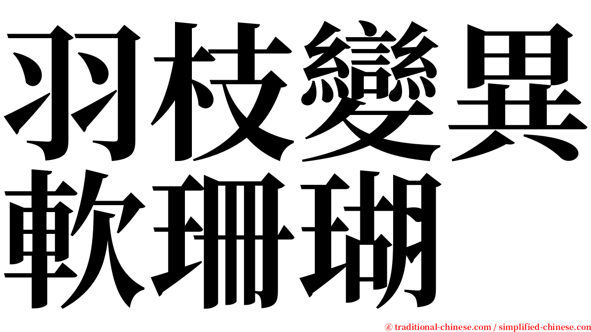 羽枝變異軟珊瑚 serif font