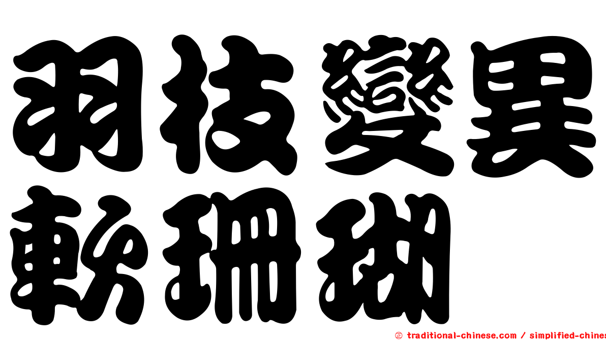 羽枝變異軟珊瑚