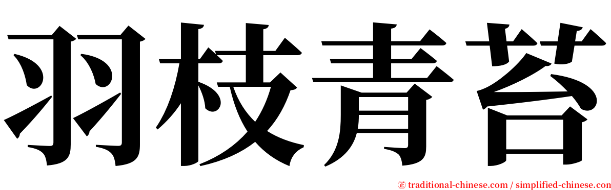 羽枝青苔 serif font