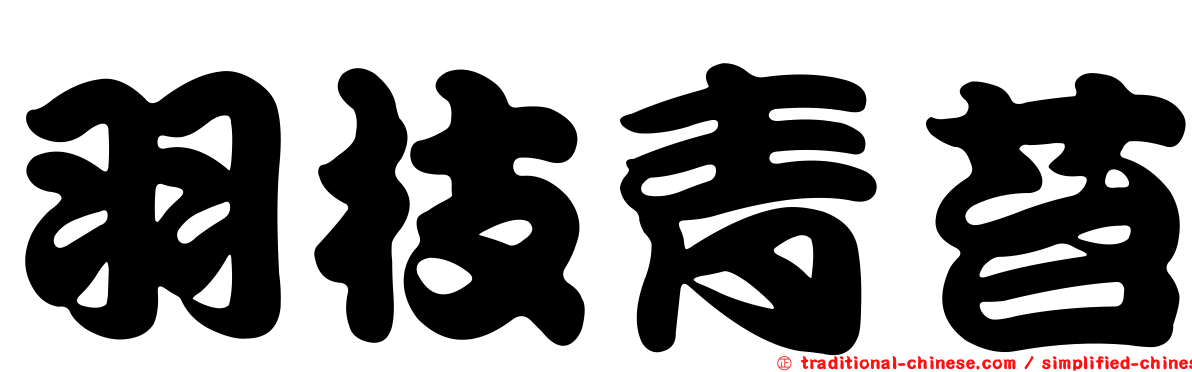 羽枝青苔