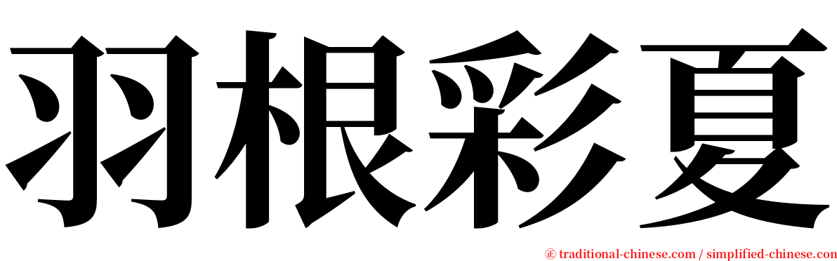 羽根彩夏 serif font